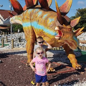 Meet your Posher, Laurie